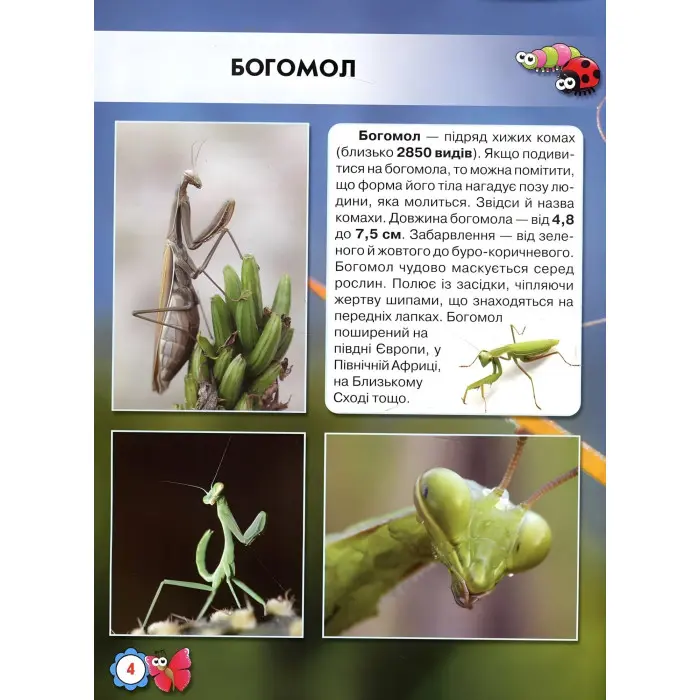 Світ навколо нас. Комахи