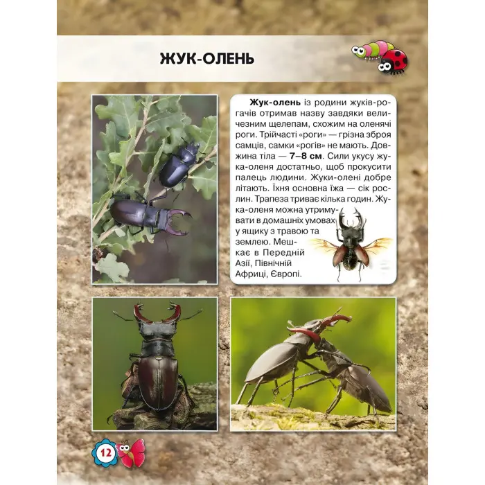 Світ навколо нас. Комахи