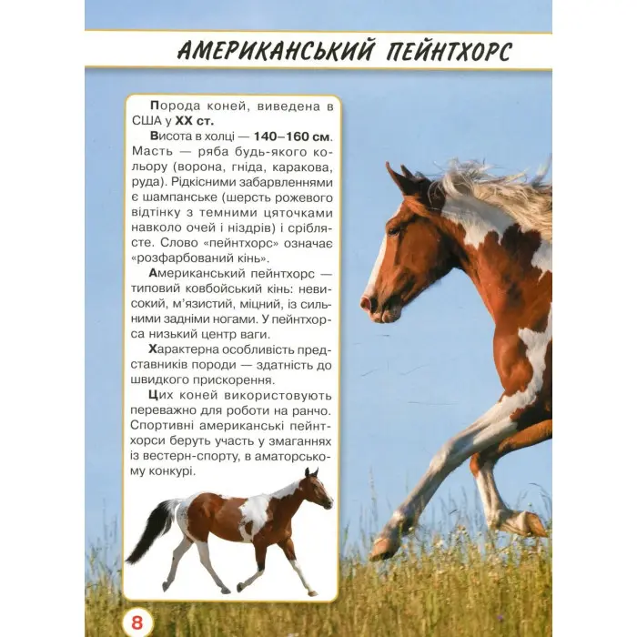 Світ навколо нас. Коні