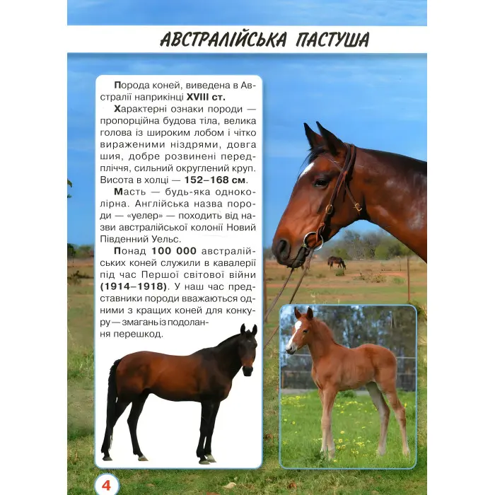 Світ навколо нас. Коні