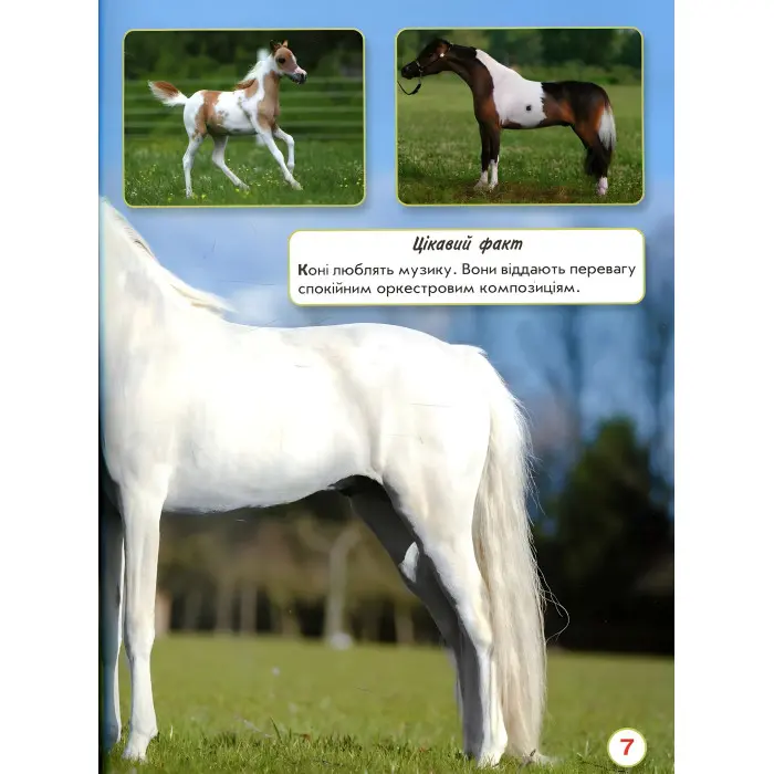Світ навколо нас. Коні