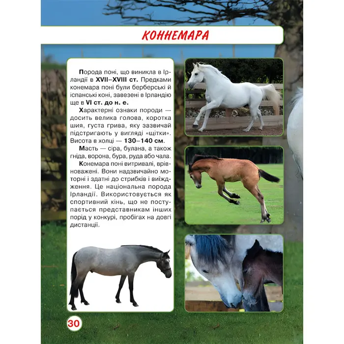 Світ навколо нас. Коні