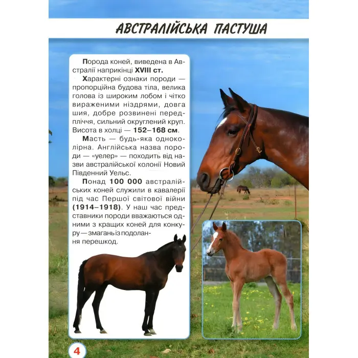 Світ навколо нас. Коні