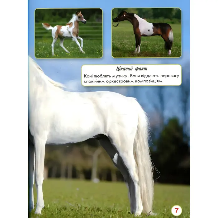 Світ навколо нас. Коні