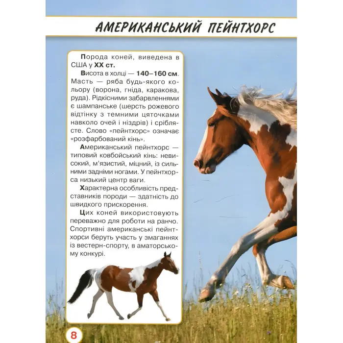 Світ навколо нас. Коні