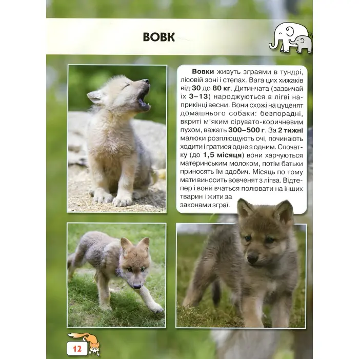 Світ навколо нас. Малята тварин