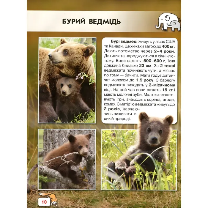 Світ навколо нас. Малята тварин