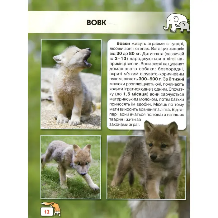 Світ навколо нас. Малята тварин