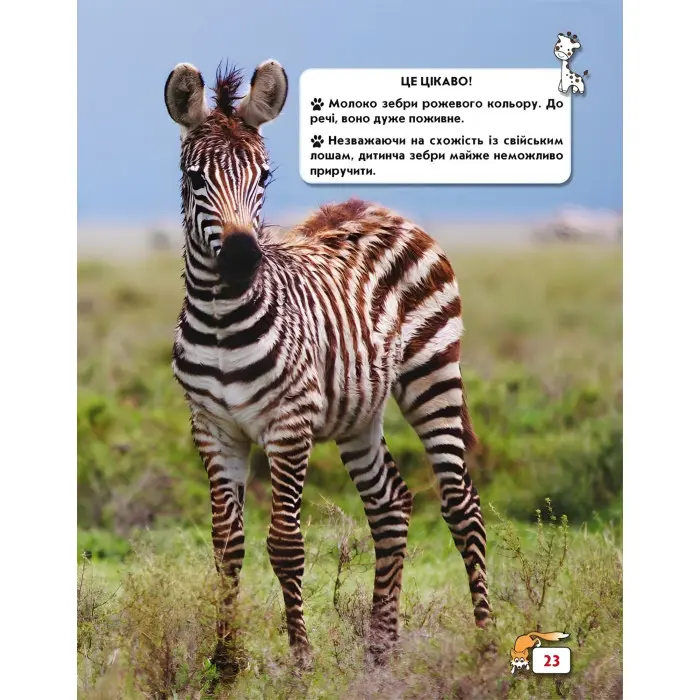 Світ навколо нас. Малята тварин