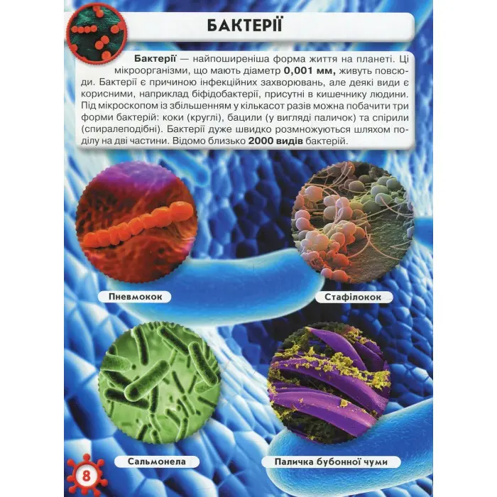 Світ навколо нас. Мікросвіт