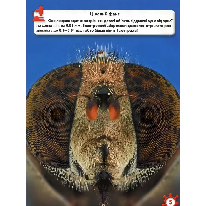 Світ навколо нас. Мікросвіт