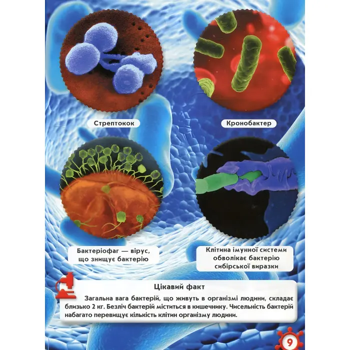 Світ навколо нас. Мікросвіт