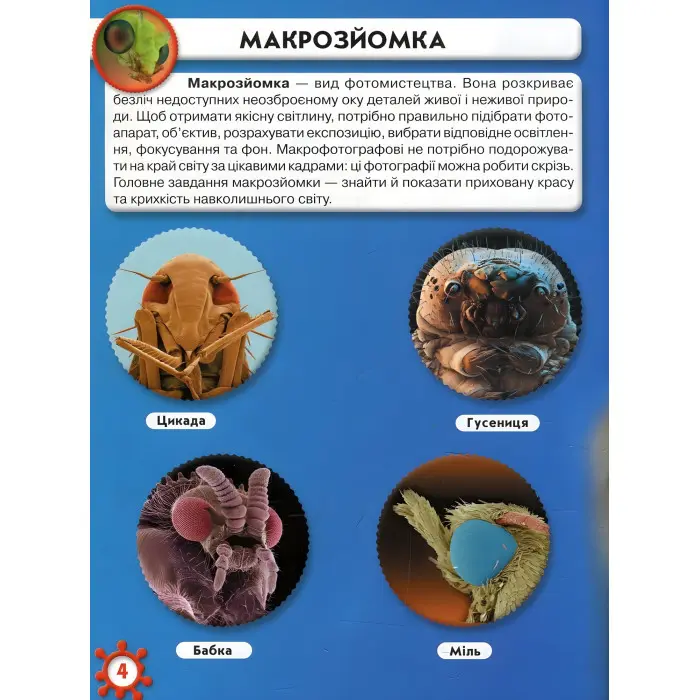 Світ навколо нас. Мікросвіт