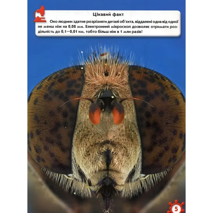 Світ навколо нас. Мікросвіт