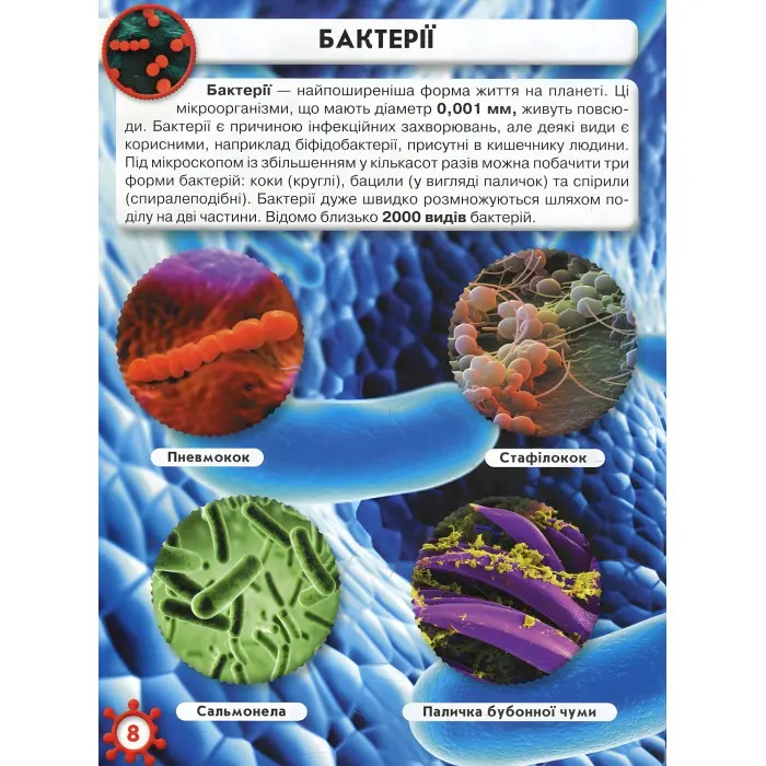 Світ навколо нас. Мікросвіт