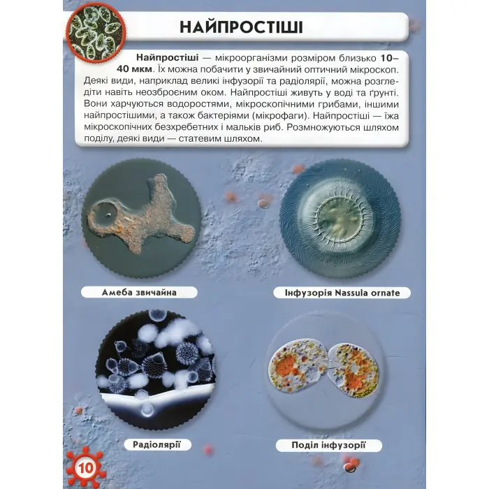 Світ навколо нас. Мікросвіт