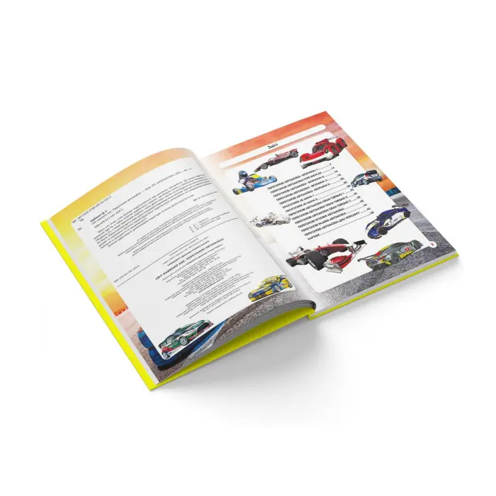 Світ навколо нас. Перегонові автомобілі