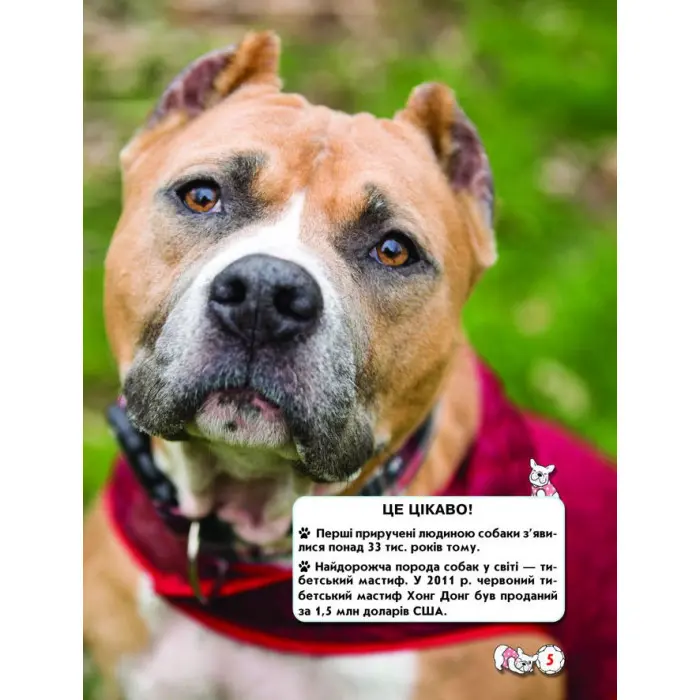 Світ навколо нас. Собаки