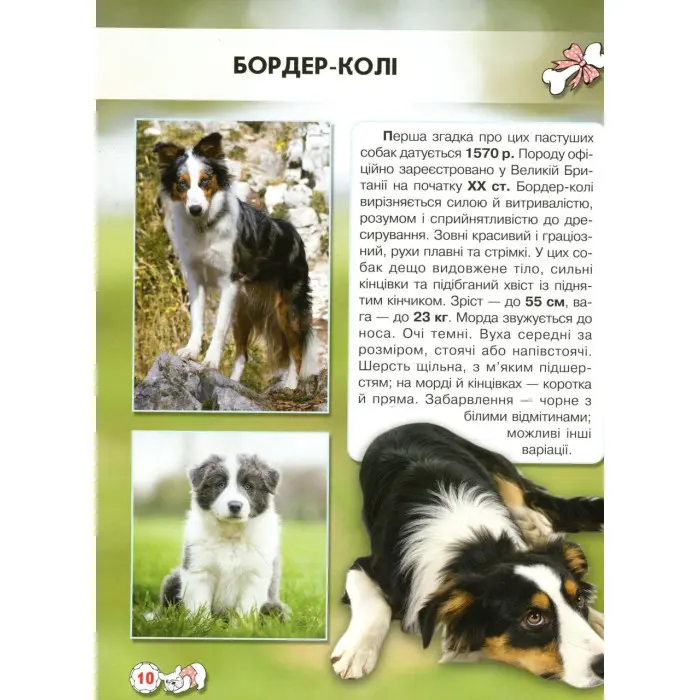 Світ навколо нас. Собаки