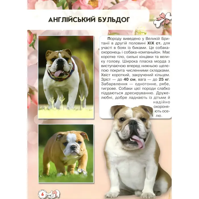 Світ навколо нас. Собаки