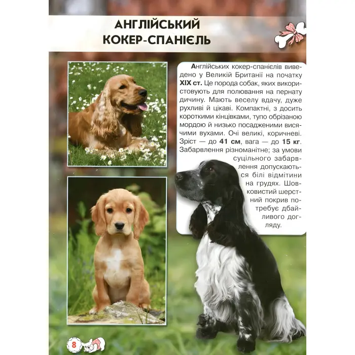 Світ навколо нас. Собаки