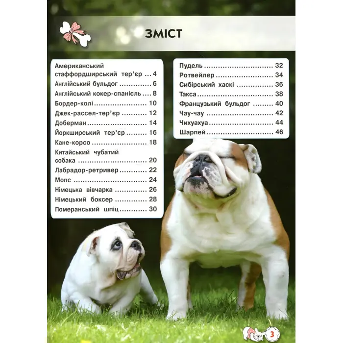 Світ навколо нас. Собаки