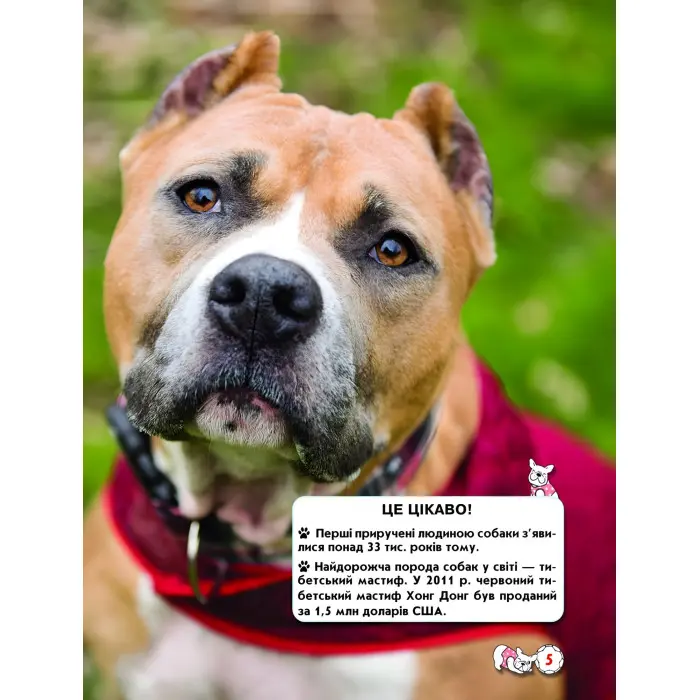 Світ навколо нас. Собаки