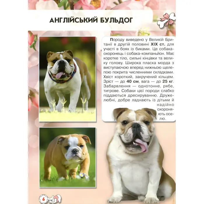 Світ навколо нас. Собаки