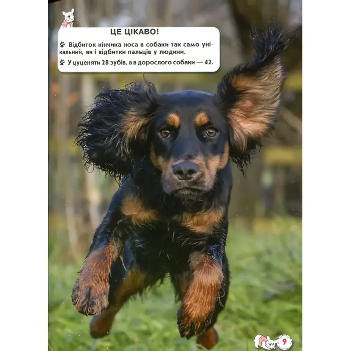 Світ навколо нас. Собаки