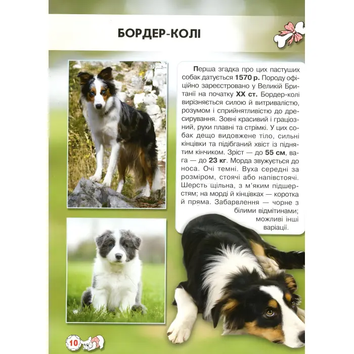 Світ навколо нас. Собаки