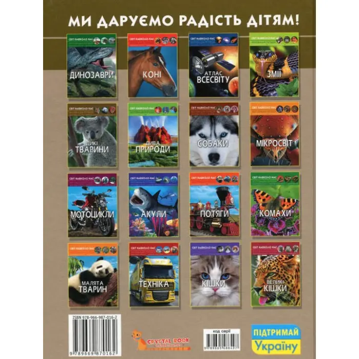 Світ навколо нас. Стрілецька зброя