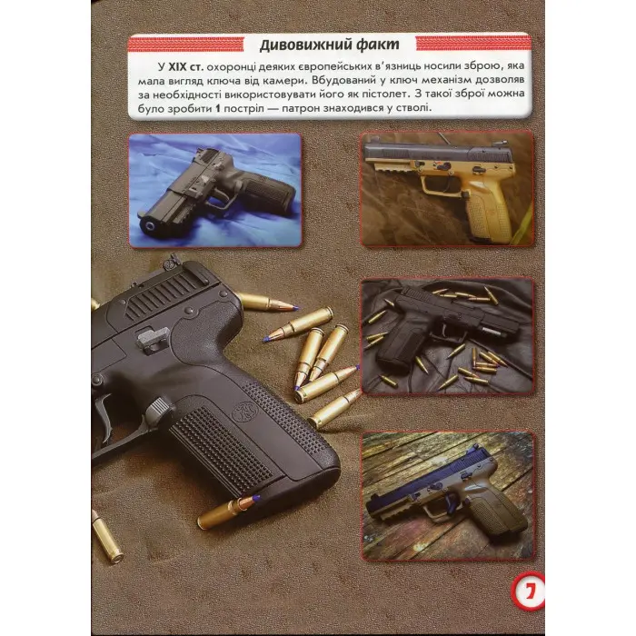 Світ навколо нас. Стрілецька зброя