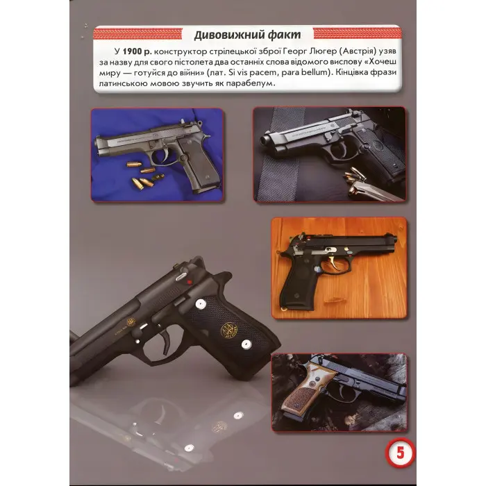 Світ навколо нас. Стрілецька зброя