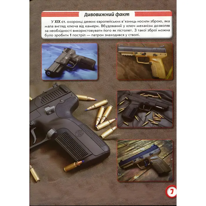 Світ навколо нас. Стрілецька зброя