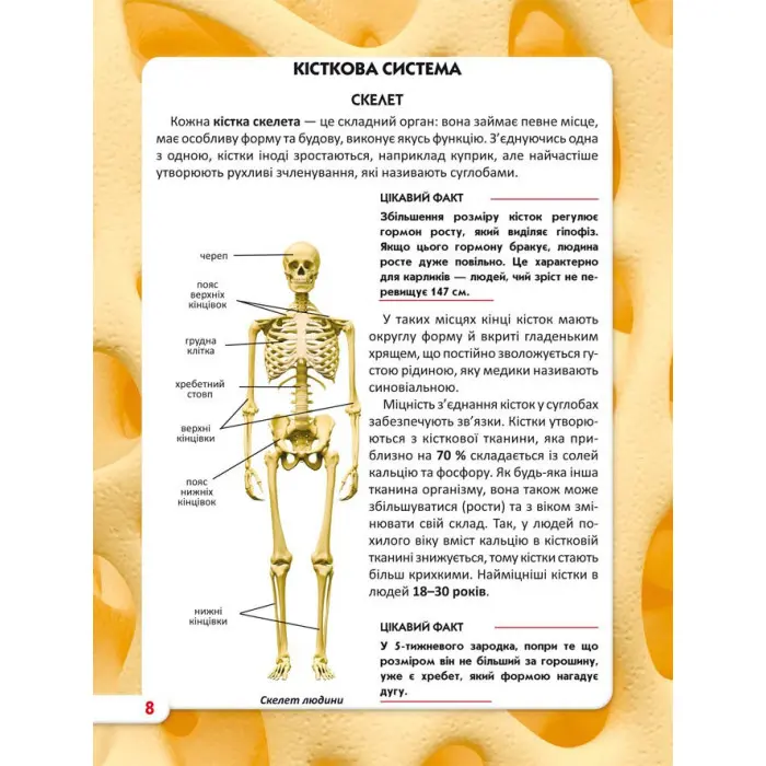 Світ навколо нас. Тіло людини