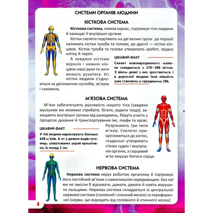 Світ навколо нас. Тіло людини