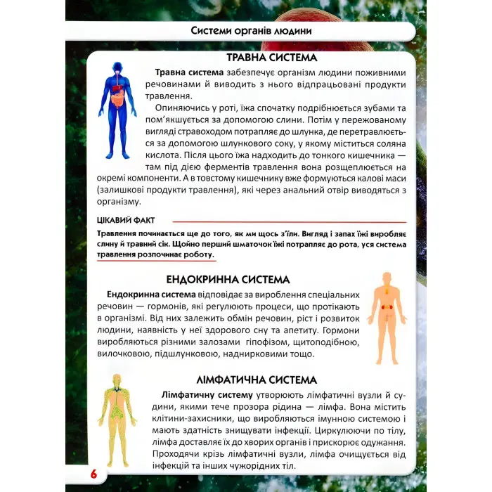 Світ навколо нас. Тіло людини