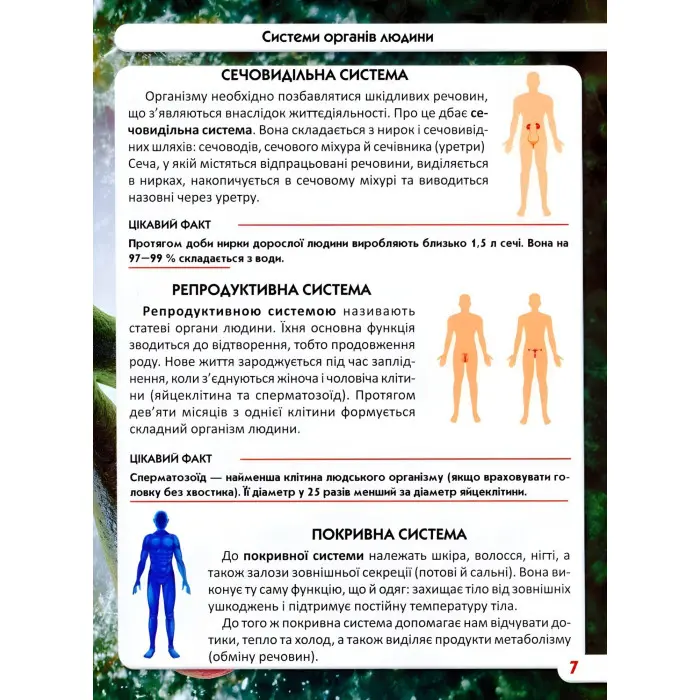 Світ навколо нас. Тіло людини