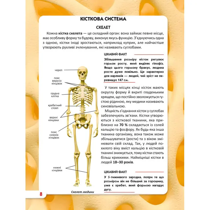 Світ навколо нас. Тіло людини