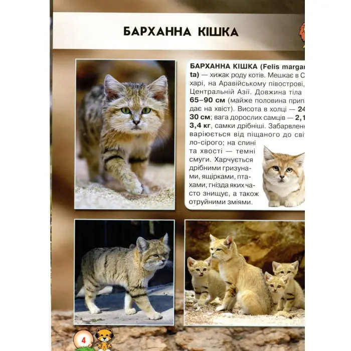 Світ навколо нас. Великі кішки