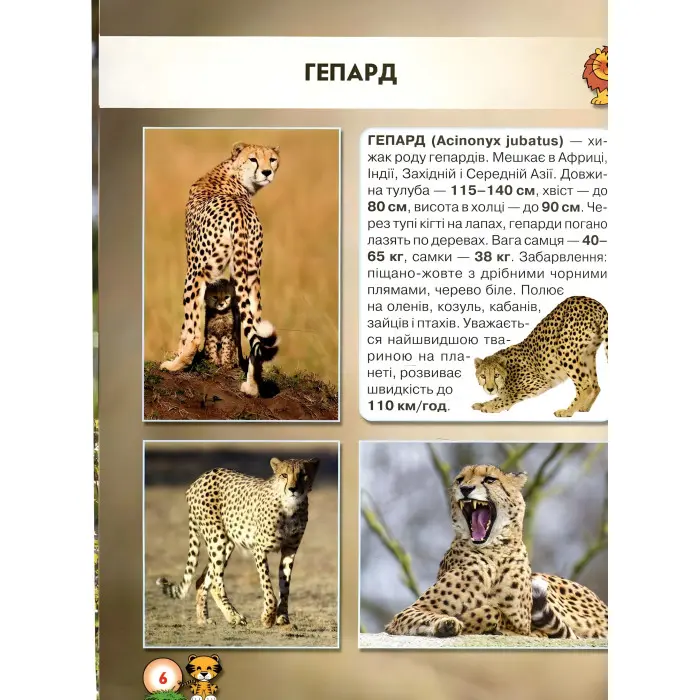 Світ навколо нас. Великі кішки