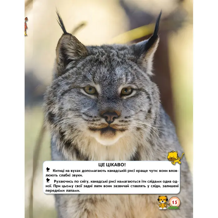 Світ навколо нас. Великі кішки