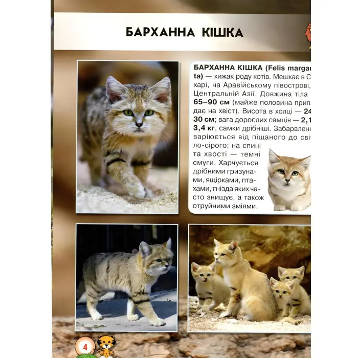 Світ навколо нас. Великі кішки