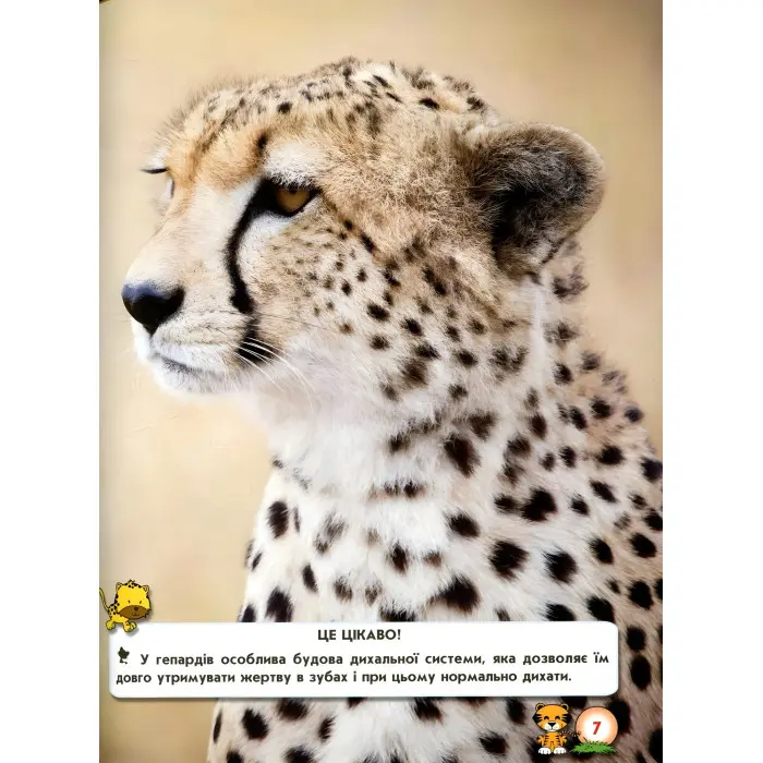 Світ навколо нас. Великі кішки