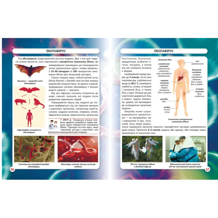 Світ навколо нас. Віруси