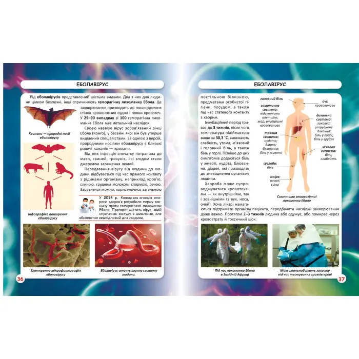 Світ навколо нас. Віруси