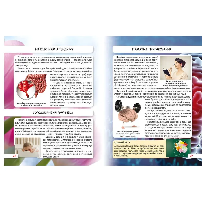 Світ навколо нас. Як працює твоє тіло