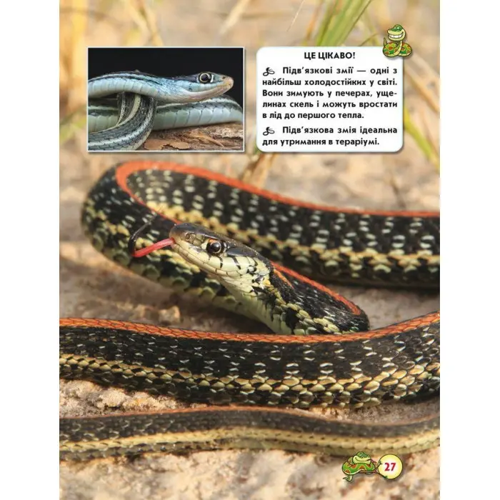 Світ навколо нас. Змії