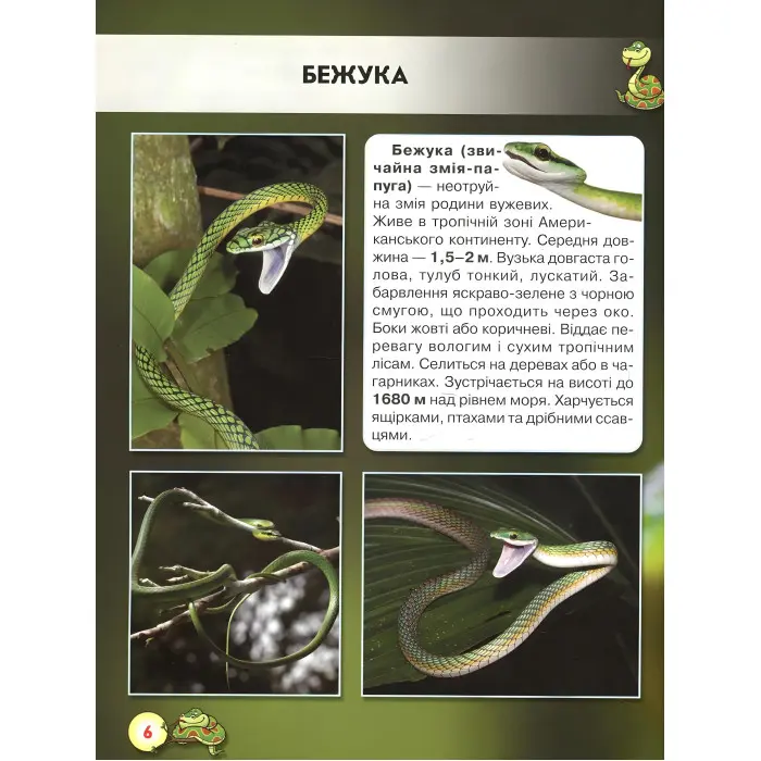 Світ навколо нас. Змії