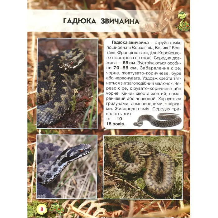 Світ навколо нас. Змії